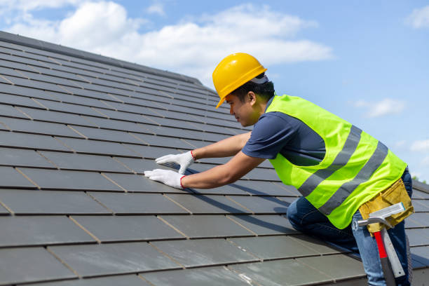 Professional Roofing Contractor in Grapeland, TX